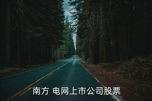  南方 電網(wǎng)上市公司股票