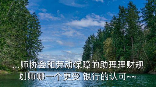 ...師協(xié)會和勞動保障的助理理財規(guī)劃師哪一個更受 銀行的認可~~