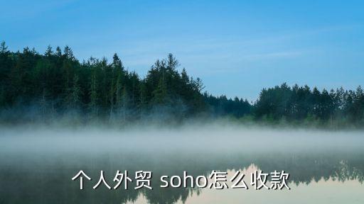 個人外貿 soho怎么收款