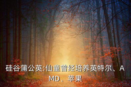 硅谷蒲公英:仙童曾經(jīng)培養(yǎng)英特爾、AMD、蘋果