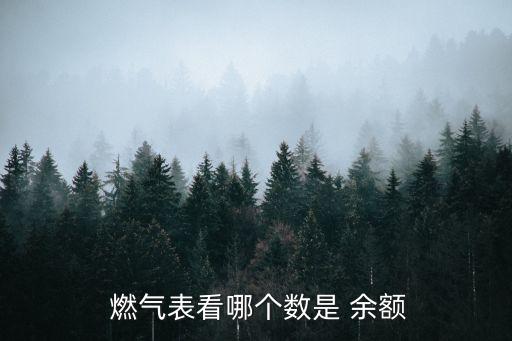  燃?xì)獗砜茨膫€數(shù)是 余額