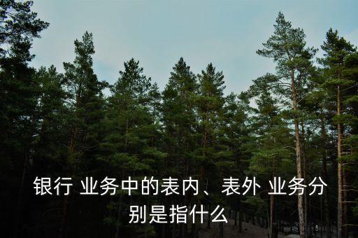  銀行 業(yè)務(wù)中的表內(nèi)、表外 業(yè)務(wù)分別是指什么