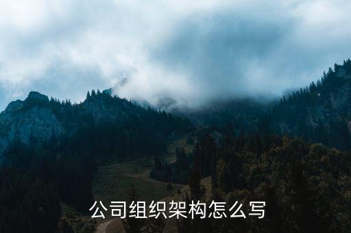 公司管理層級設(shè)置,公司安全管理層級是什么