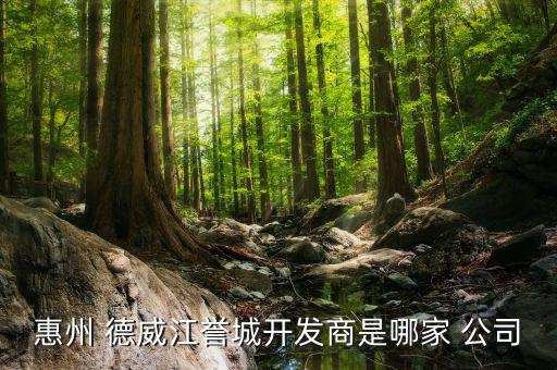 惠州 德威江譽城開發(fā)商是哪家 公司