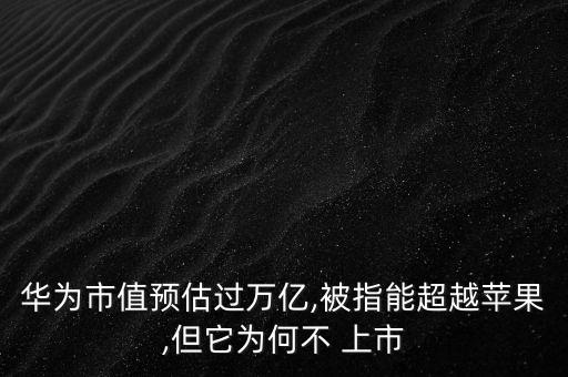 中國(guó)未上市的科技公司,愛(ài)協(xié)生科技公司怎么樣,能上市嗎