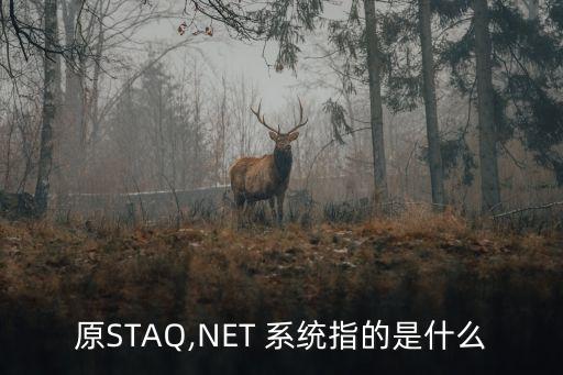 原STAQ,NET 系統(tǒng)指的是什么