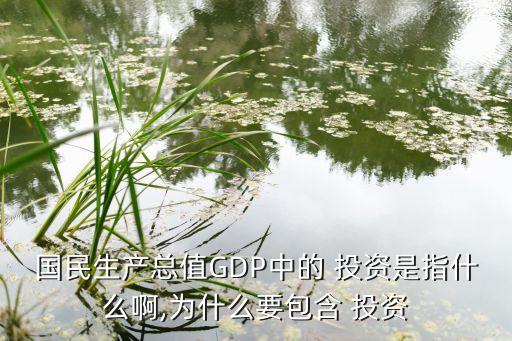 國民生產(chǎn)總值GDP中的 投資是指什么啊,為什么要包含 投資