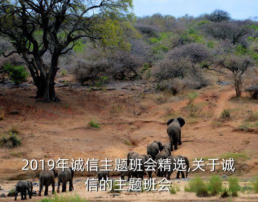 2019年誠信主題班會精選,關于誠信的主題班會