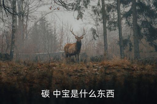 碳 中寶是什么東西