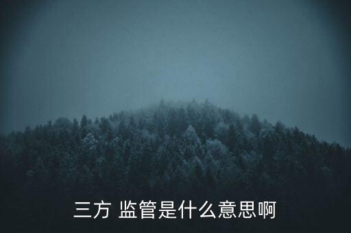 三方 監(jiān)管是什么意思啊