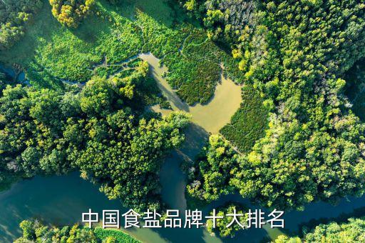 廣鹽華源制鹽有限公司,沈陽(yáng)奉興制鹽有限公司的鹽好嗎