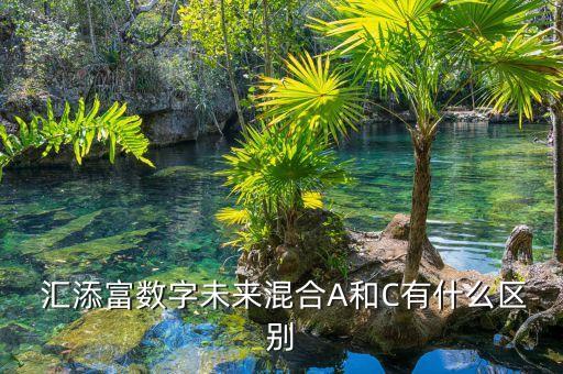  匯添富數(shù)字未來混合A和C有什么區(qū)別