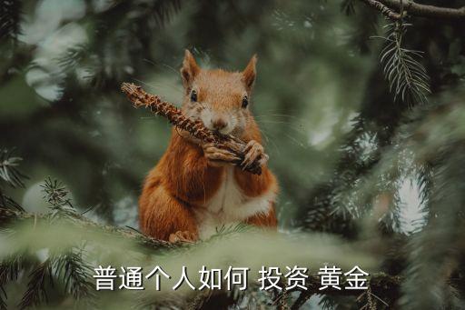 普通個人如何 投資 黃金