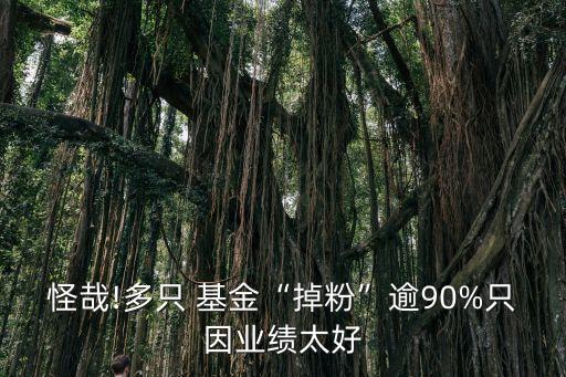 怪哉!多只 基金“掉粉”逾90%只因業(yè)績太好