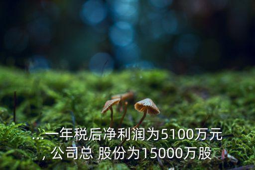 ...一年稅后凈利潤(rùn)為5100萬(wàn)元, 公司總 股份為15000萬(wàn)股