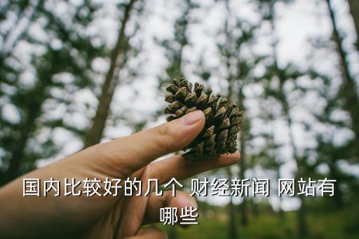 國內(nèi)比較好的幾個 財經(jīng)新聞 網(wǎng)站有哪些