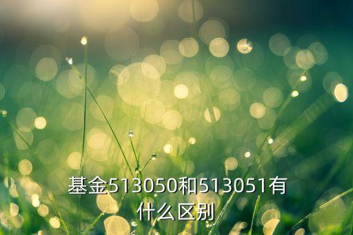  基金513050和513051有什么區(qū)別