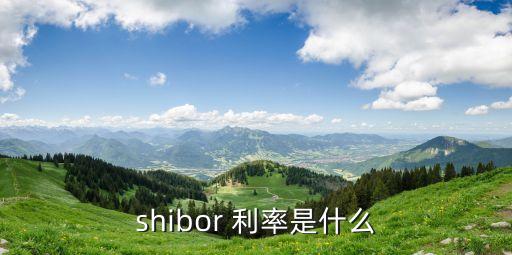 shibor 利率是什么