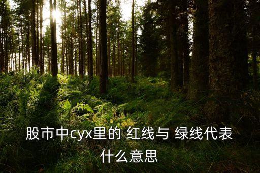 股市中cyx里的 紅線與 綠線代表什么意思