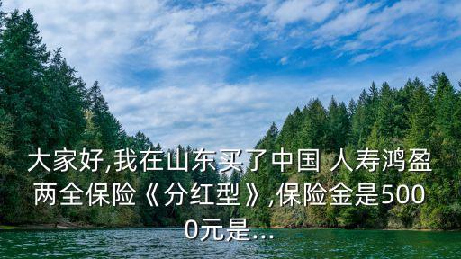 大家好,我在山東買了中國(guó) 人壽鴻盈兩全保險(xiǎn)《分紅型》,保險(xiǎn)金是5000元是...