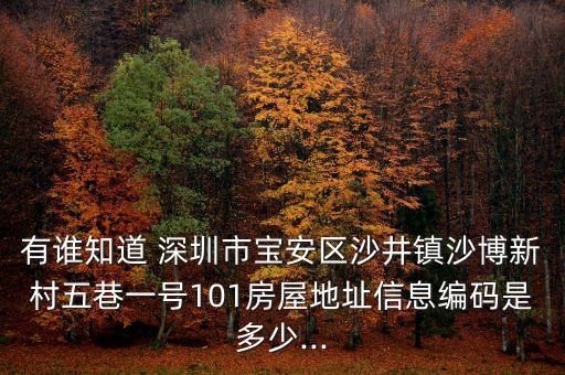 有誰知道 深圳市寶安區(qū)沙井鎮(zhèn)沙博新村五巷一號(hào)101房屋地址信息編碼是多少...