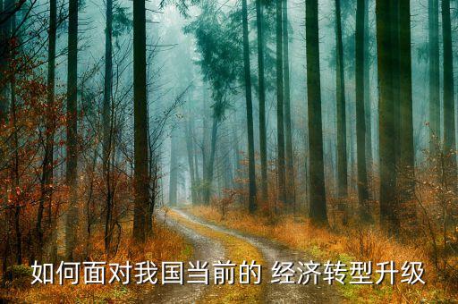 如何面對我國當(dāng)前的 經(jīng)濟(jì)轉(zhuǎn)型升級