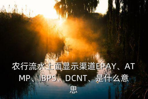 農(nóng)行流水上面顯示渠道EPAY、ATMP、IBPS、DCNT、是什么意思