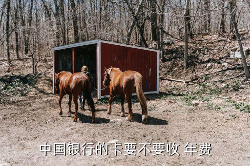 中國銀行卡有沒有年費,現(xiàn)在的銀行卡有沒有年費