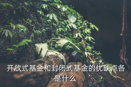  開放式基金和封閉式基金的優(yōu)缺點各是什么