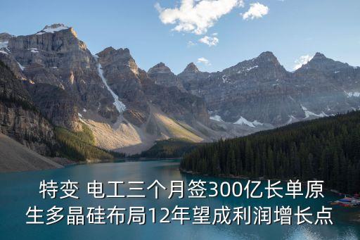  特變 電工三個(gè)月簽300億長單原生多晶硅布局12年望成利潤增長點(diǎn)