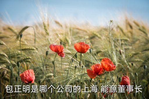 包正明是哪個(gè)公司的上海 能源董事長(zhǎng)