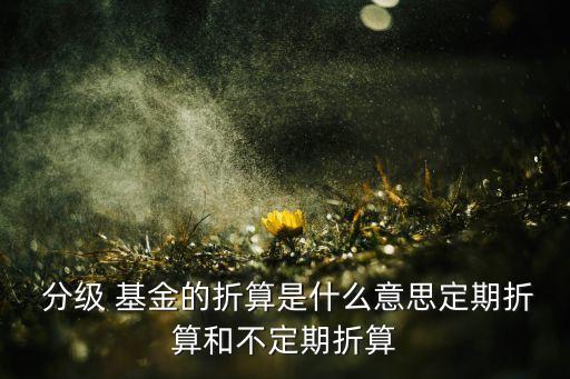  分級(jí) 基金的折算是什么意思定期折算和不定期折算