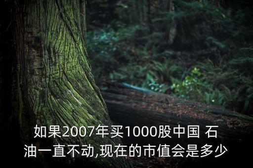 基金持有中石油,中石油基金590002