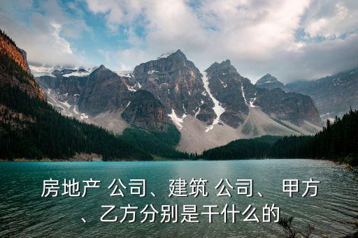 重慶甲方打人是哪個房地產(chǎn)公司