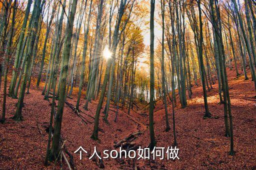 SOHO中國如何注冊出來的,soho中國注冊地