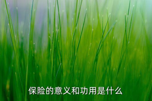 保險(xiǎn)公司不得以購買保險(xiǎn)為目的