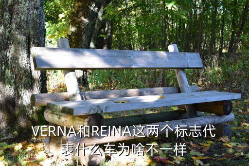 VERNA和REINA這兩個標志代表什么車為啥不一樣