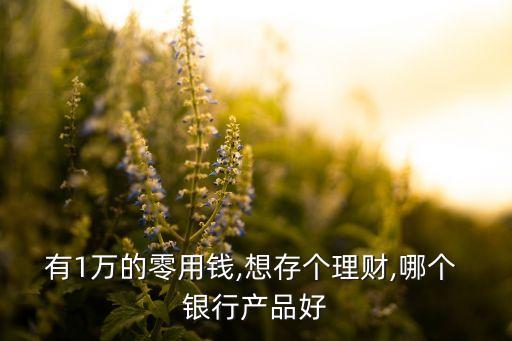 有1萬的零用錢,想存?zhèn)€理財,哪個 銀行產品好