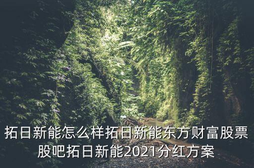 拓日新能怎么樣拓日新能東方財(cái)富股票股吧拓日新能2021分紅方案