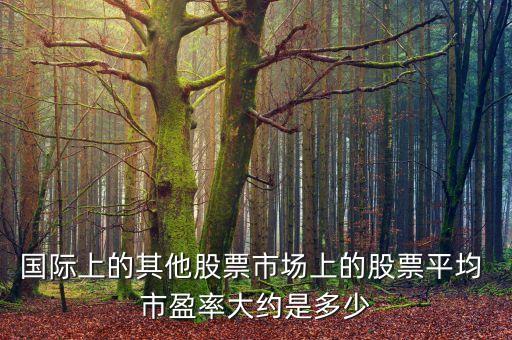 國際上的其他股票市場(chǎng)上的股票平均 市盈率大約是多少