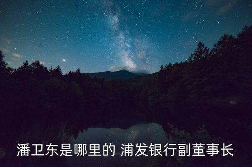 潘衛(wèi)東是哪里的 浦發(fā)銀行副董事長(zhǎng)