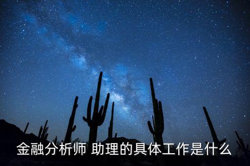 金融分析師 助理的具體工作是什么