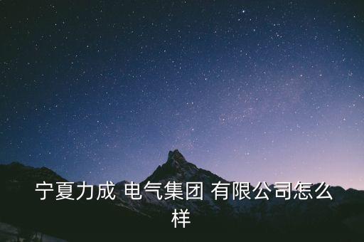  寧夏力成 電氣集團 有限公司怎么樣