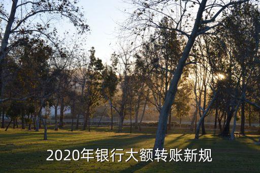 人民銀行支付清算窗口,2023年人民銀行支付清算系統(tǒng)維護(hù)