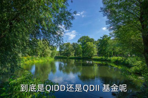 到底是QIDD還是QDII 基金呢