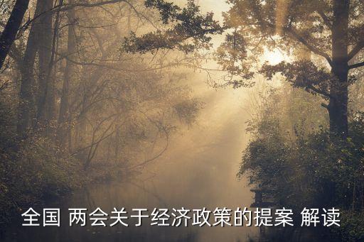 全國 兩會(huì)關(guān)于經(jīng)濟(jì)政策的提案 解讀