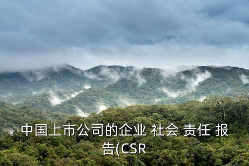 中國(guó)上市公司的企業(yè) 社會(huì) 責(zé)任 報(bào)告(CSR