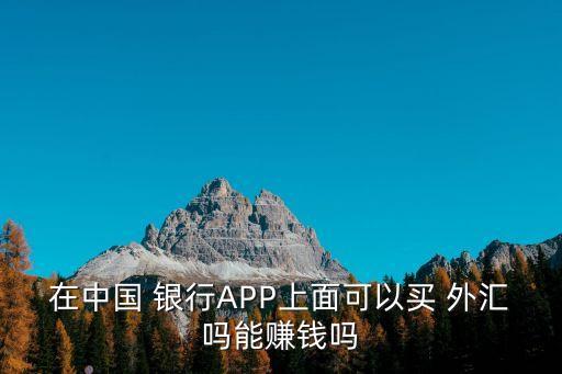 在中國(guó) 銀行APP上面可以買 外匯嗎能賺錢嗎