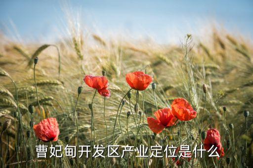  曹妃甸開發(fā)區(qū)產(chǎn)業(yè)定位是什么