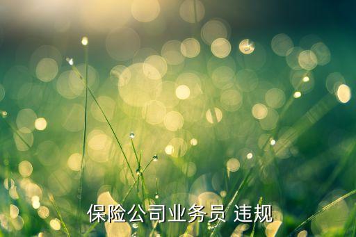  保險(xiǎn)公司業(yè)務(wù)員 違規(guī)